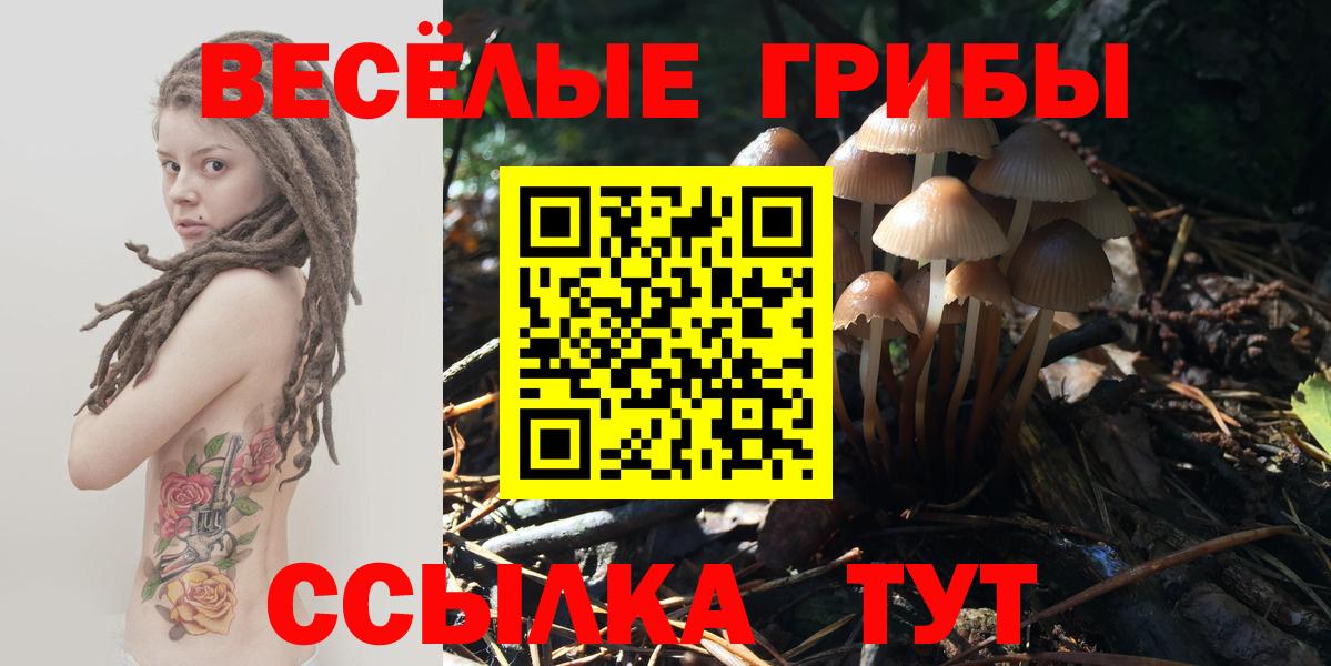 Губкин  Псилоцибиновые грибы Cubensis  Псилоцибиновые грибы Psilocybine cubensis  Вход с VPN 